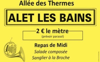 Vide grenier et sanglier à la broche .