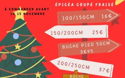 Réserver votre sapin, avant le 15 novembre