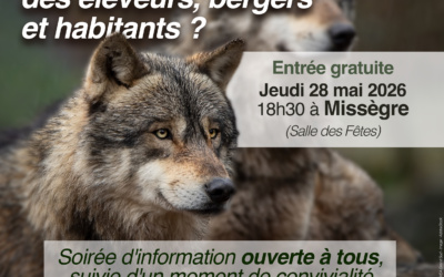 Conférence